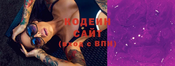 прущий лед Алзамай