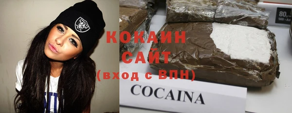 прущий лед Алзамай