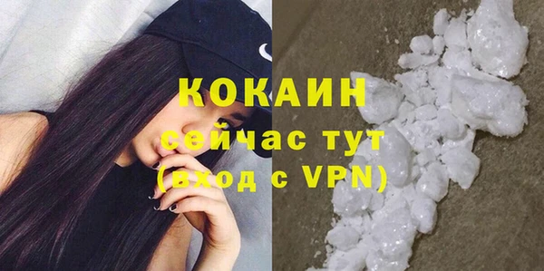 прущий лед Алзамай