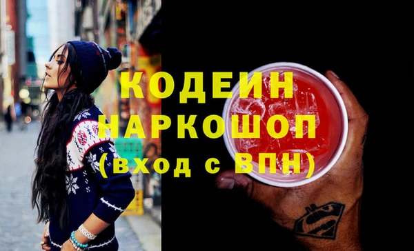 прущий лед Алзамай